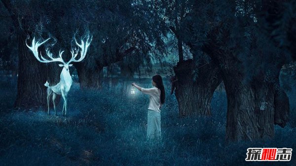 閃回現象之謎,平行宇宙導致閃回現象