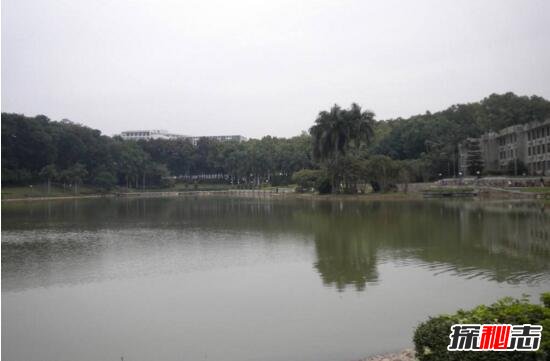 深圳大學(xué)靈異事件解析,深圳大學(xué)邪地是真的嗎