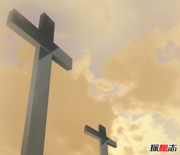 什么花有毒卻很美?盤(pán)點(diǎn)世界十大最美的毒花(附圖)