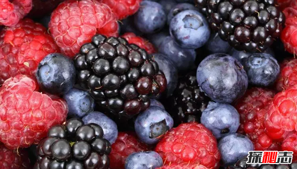 什么食品對眼睛好?保護眼睛的十大食物