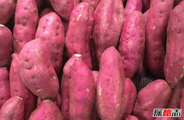 什么食品對眼睛好?保護眼睛的十大食物