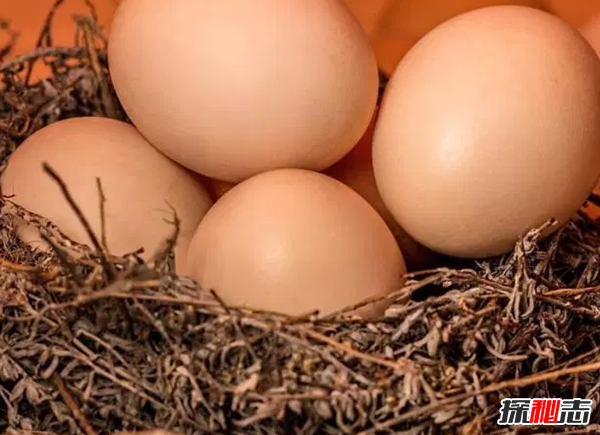 什么食品對眼睛好?保護眼睛的十大食物