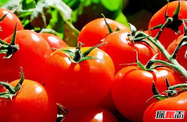 什么食品對眼睛好?保護眼睛的十大食物