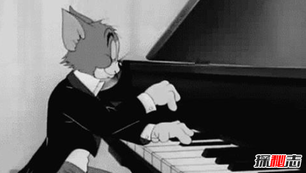 什么人不適合學(xué)鋼琴?十種不適合學(xué)鋼琴的人