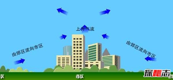 什么是城市熱島效應?城市熱島效應的危害(科學(xué)揭秘)