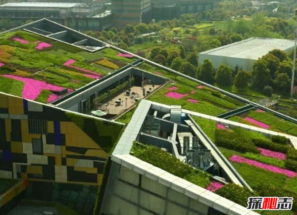 什么是城市熱島效應?城市熱島效應的危害(科學(xué)揭秘)