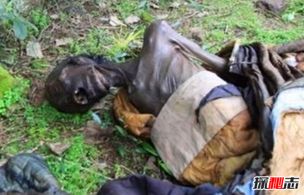 什么是痋術(shù)?揭秘古代對孕婦最厲害的巫術(shù)(滇南三大邪法之一)