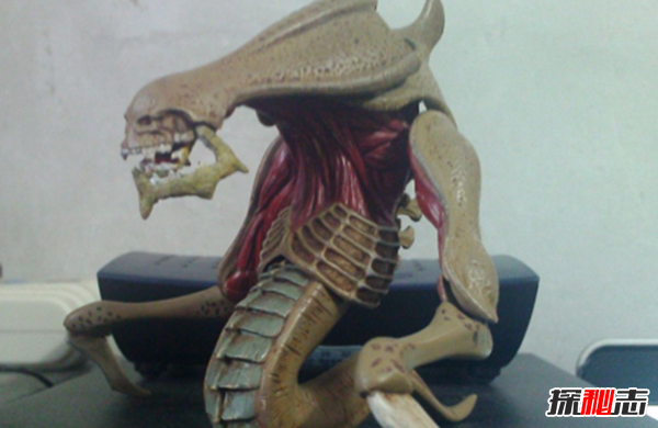 什么是痋術(shù)?揭秘古代對孕婦最厲害的巫術(shù)(滇南三大邪法之一)