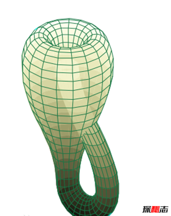 什么是克萊因瓶?揭曉克萊因瓶的愛(ài)情意義