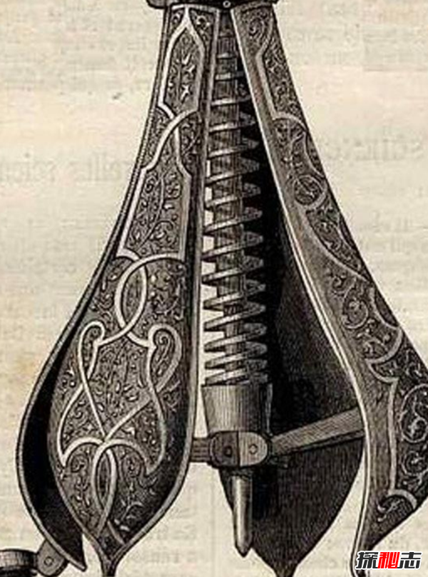 什么是苦刑梨?外型和梨子極為相似(殘忍程度不可想象)