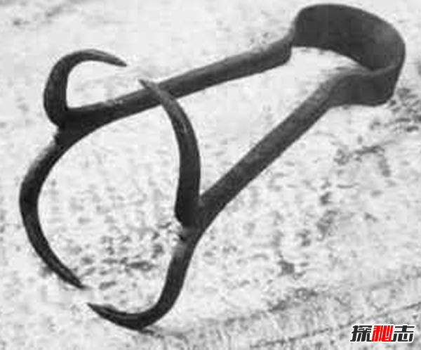 什么是苦刑梨?外型和梨子極為相似(殘忍程度不可想象)