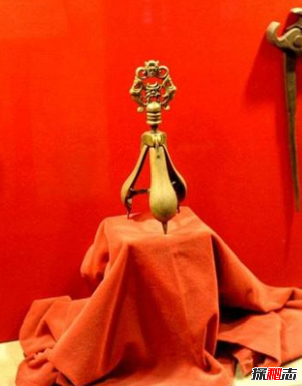 什么是苦刑梨?外型和梨子極為相似(殘忍程度不可想象)