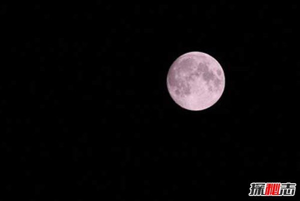 什么是兩儀二圣?太陽(yáng)燭照和太陰幽熒兩種圣獸