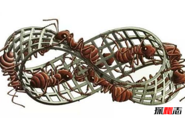 什么是莫比烏斯指環(huán)?莫比烏斯環(huán)的詛咒(陷入無(wú)限死循環(huán))