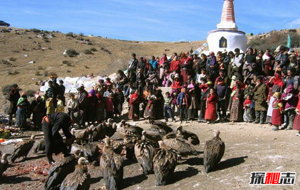 什么是天葬?天葬禿鷲吃人全過(guò)程(附圖片)