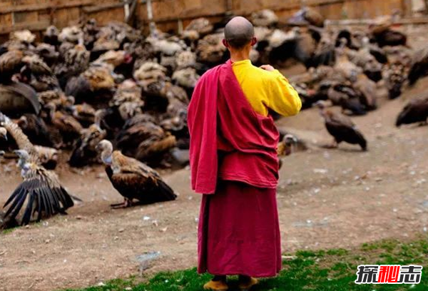 什么是天葬?天葬禿鷲吃人全過(guò)程(附圖片)