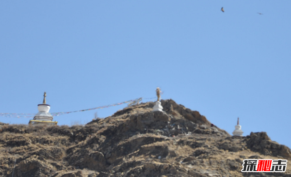 什么是天葬?天葬禿鷲吃人全過(guò)程(附圖片)