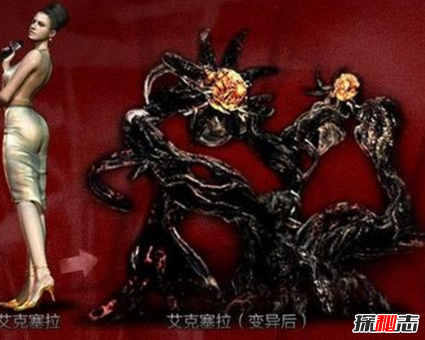 什么是維羅妮卡病毒?維羅妮卡病毒的病毒特征(人造病毒)