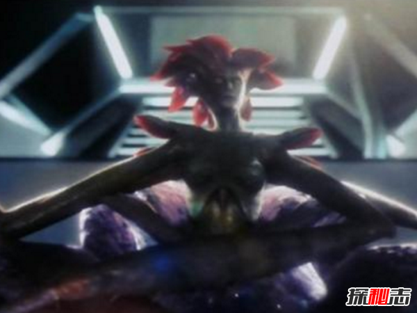 什么是維羅妮卡病毒?維羅妮卡病毒的病毒特征(人造病毒)