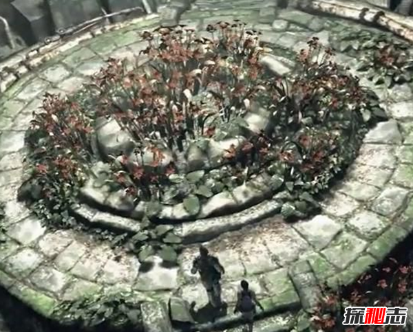 什么是維羅妮卡病毒?維羅妮卡病毒的病毒特征(人造病毒)