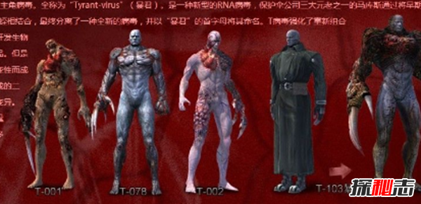 什么是維羅妮卡病毒?維羅妮卡病毒的病毒特征(人造病毒)