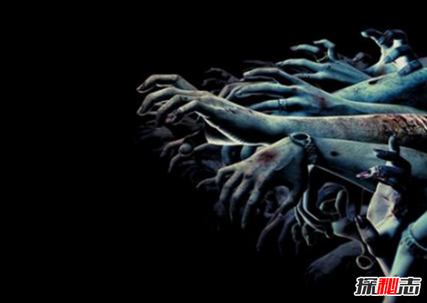 什么是維羅妮卡病毒?維羅妮卡病毒的