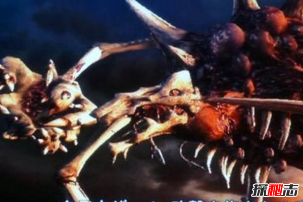 什么是維羅妮卡病毒?維羅妮卡病毒的