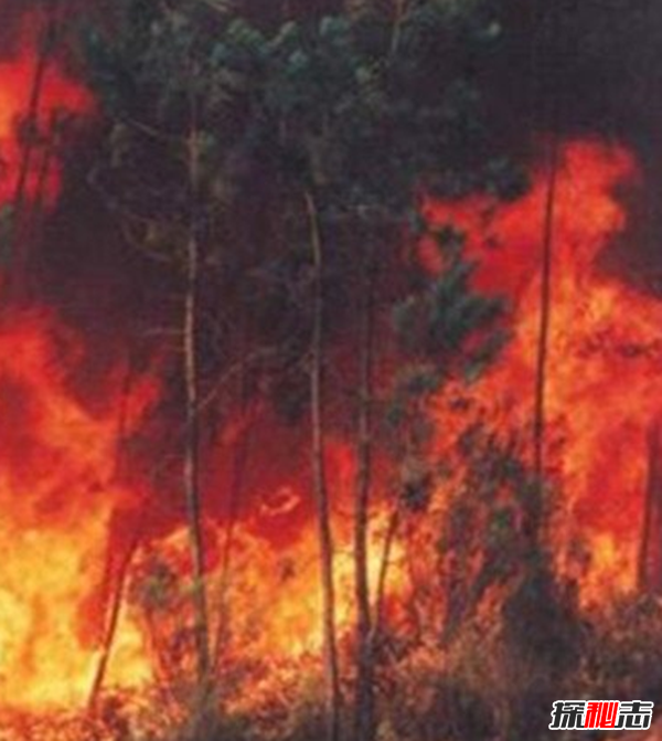 火神祝融性別之謎,祝融究竟是男是女