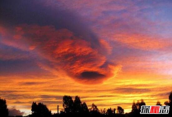 世界十大奇特自然現象