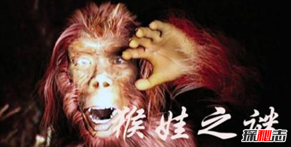 神農架猴娃之謎,百歲母親養育三個(gè)猴娃（近親聯(lián)姻)