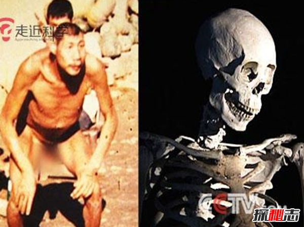 神農架猴娃之謎,百歲母親養育三個(gè)猴娃（近親聯(lián)姻)