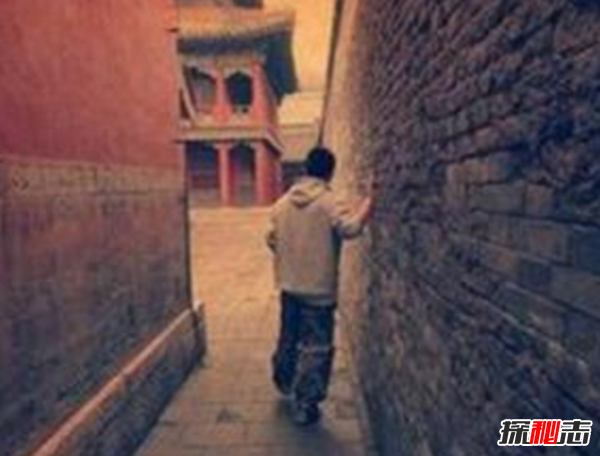 沈陽(yáng)故宮靈異事件,司機半夜載故宮女鬼到火葬場(chǎng)(收50元黃紙)