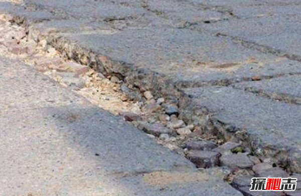 沈陽(yáng)故宮靈異事件,司機半夜載故宮女鬼到火葬場(chǎng)(收50元黃紙)