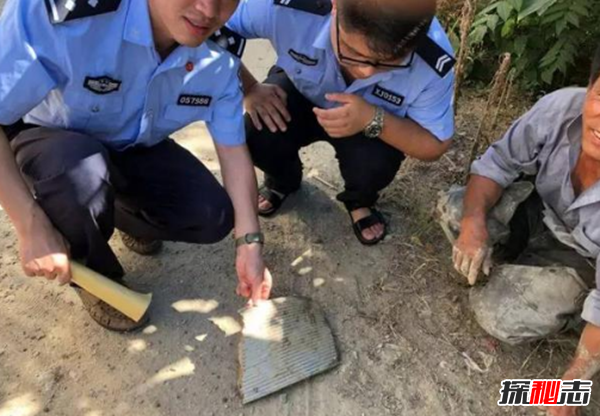 嵊州為什么突然這么火,嵊州天降不明物體是什么?