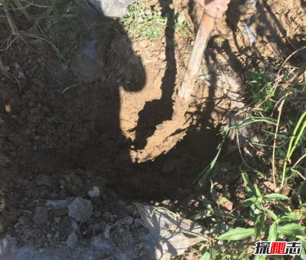 嵊州為什么突然這么火,嵊州天降不明物體是什么?