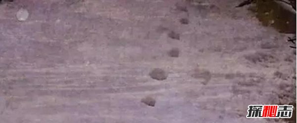 十大超自然事件,冬天雪地里出現惡魔腳印(嚇瘋居民)