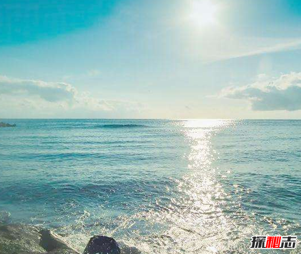 十大海洋恐怖生物,石頭魚(yú)一刺使人中毒直到死亡(偽裝極強)