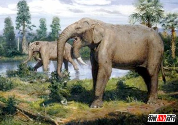 十大滅絕的可怕古生物 幸好早已經(jīng)消失了!(照片曝光)