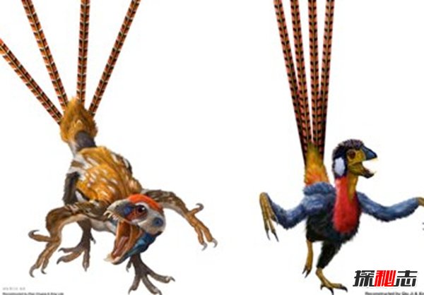 十大滅絕的可怕古生物 幸好早已經(jīng)消失了!(照片曝光)