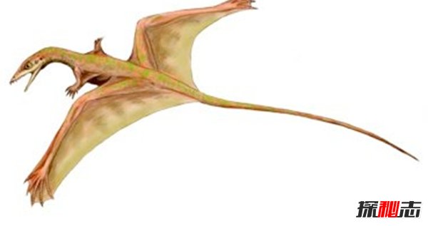 十大滅絕的可怕古生物 幸好早已經(jīng)消失了!(照片曝光)