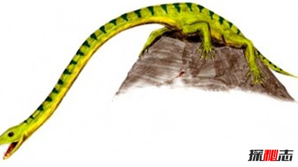 十大滅絕的可怕古生物 幸好早已經(jīng)消失了!(照片曝光)