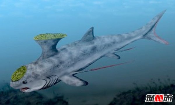 十大滅絕的可怕古生物 幸好早已經(jīng)消失了!(照片曝光)