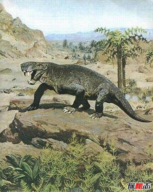 十大史前巨型動(dòng)物，揭秘史前最大的動(dòng)物第一名