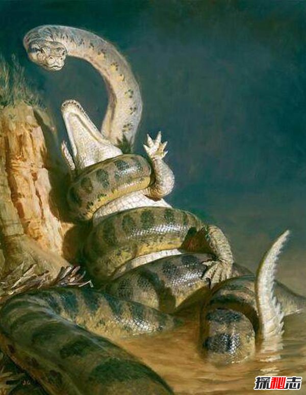 十大史前巨型動(dòng)物，揭秘史前最大的動(dòng)物第一名