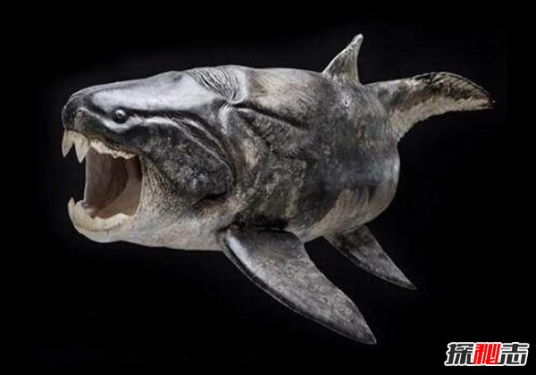 十大史前巨型動(dòng)物，揭秘史前最大的動(dòng)物第一名