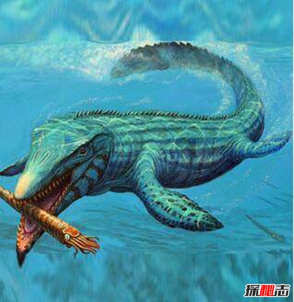 十大史前巨型動(dòng)物，揭秘史前最大的動(dòng)物第一名