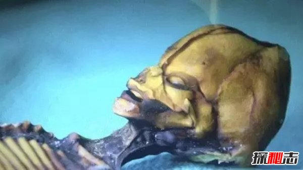 十大太空詭異事件,女宇航員竟在太空離奇受孕