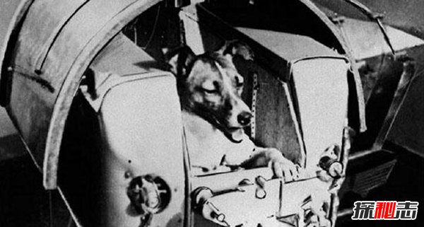 十大太空詭異事件,女宇航員竟在太空離奇受孕