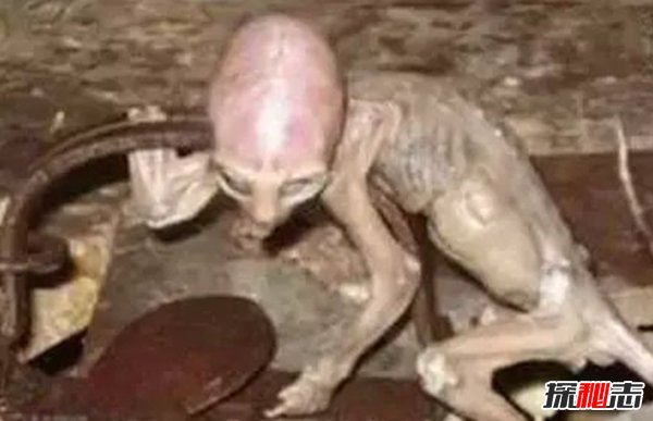 十大太空詭異事件,女宇航員竟在太空離奇受孕