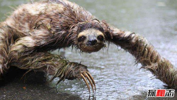 十大真實(shí)鬧鬼事件，廁所坑中突然出現手給你遞紙